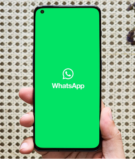 图片7